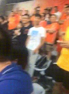 在野外发现甘蔗,在山里发现甘蔗