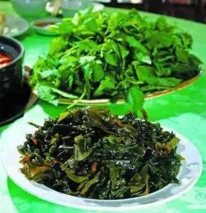 风光无限好，览尽于汤池