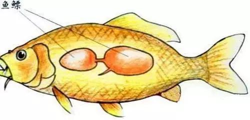 传统家具制作非遗技法,传统古家具水磨工艺