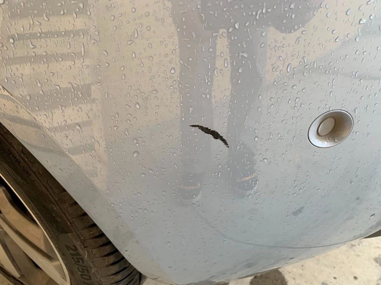 法系车良心的几款车,法系车永不落伍的车型