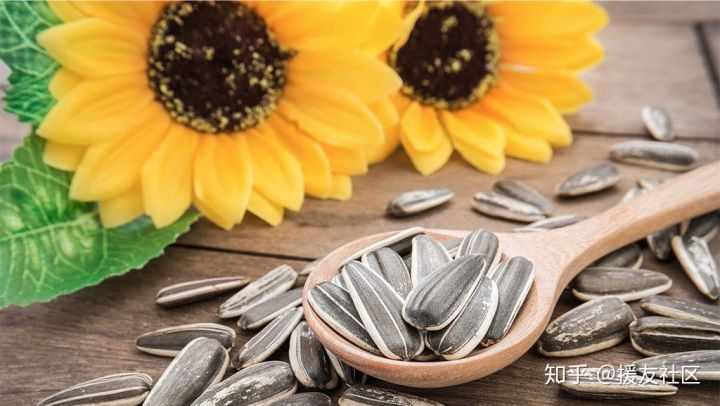 补眼食疗,补眼的食物和水果都有哪些