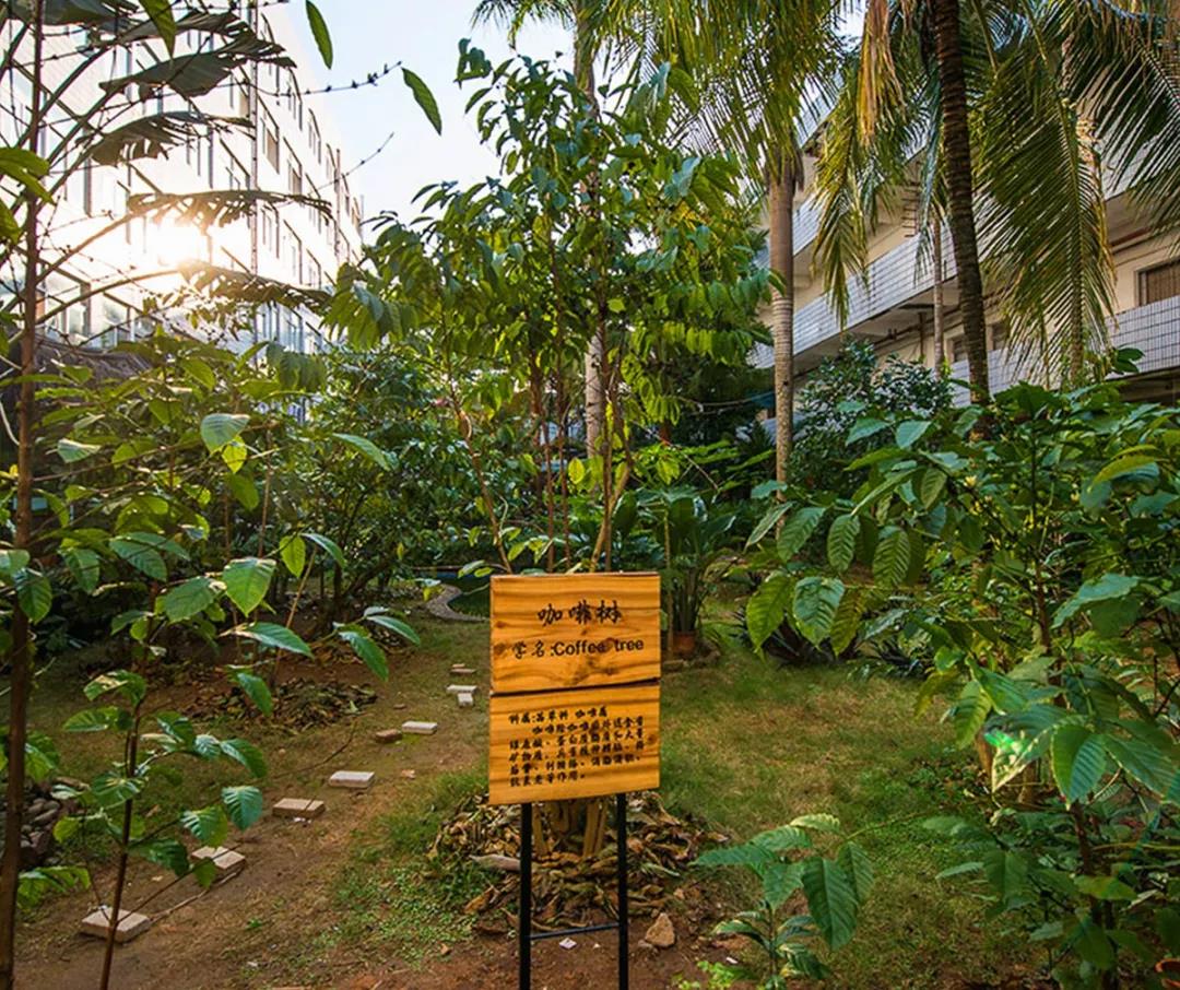 我国最年轻的省份海南，是怎么从广东脱离出来的？|中国自驾地理