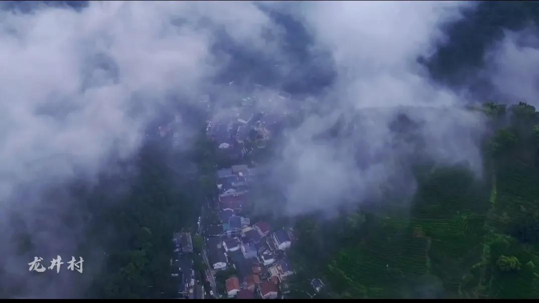 诗城杭州散文,诗意运河风雅杭州