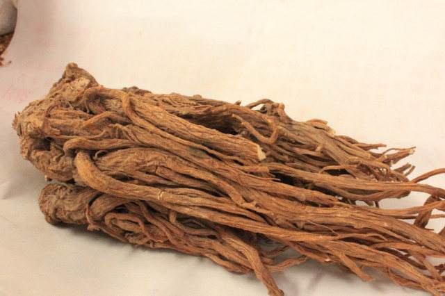 精油––欧白芷（Angelica）