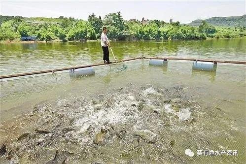 濡備綍澶勭悊浜氱閰哥洂涓瘨浜嬩欢,浜氱閰哥洂涓瘨姝讳骸妗堜緥