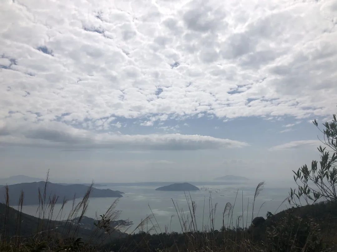 屹立凤凰顶，全览明珠貌