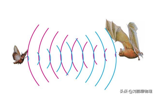 初中物理声的利用讲解视频,初中二年级物理人教版教程