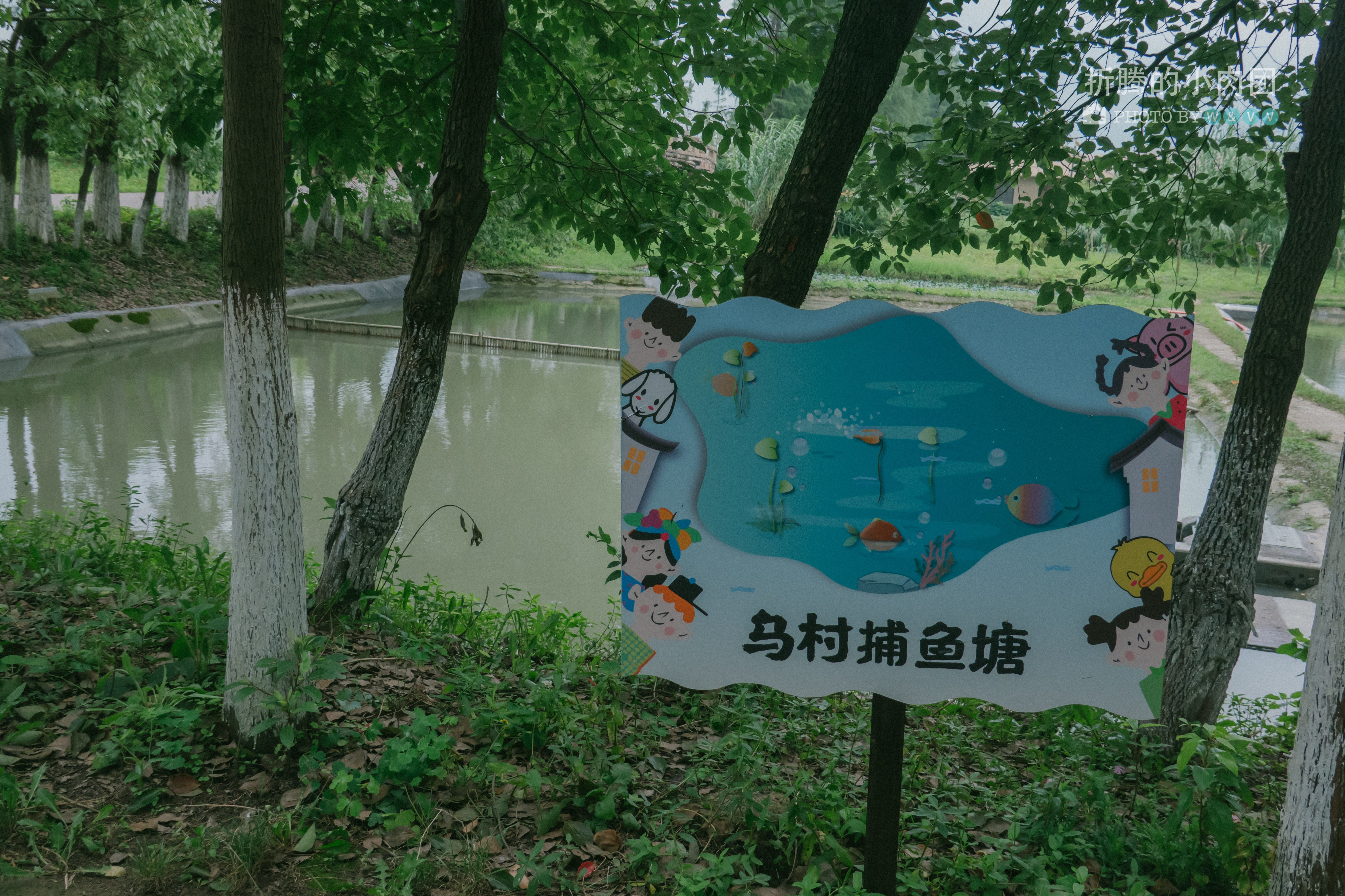 乌村亲子游全攻略,乌村亲子游攻略