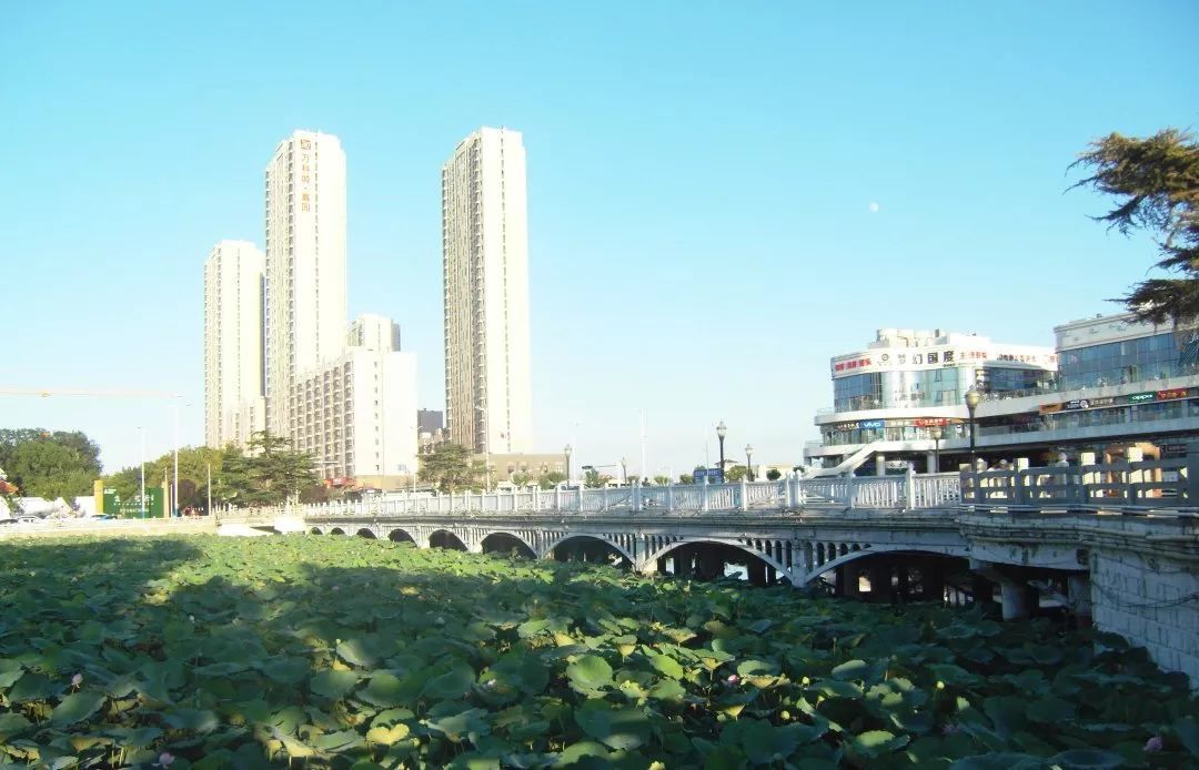 青岛人口最多的十个县,青岛市人口最多的区是哪个