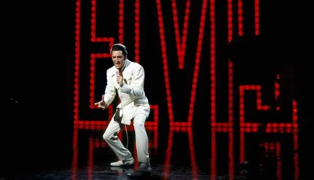 复活猛犸象实验,科学家有望复活猛犸象