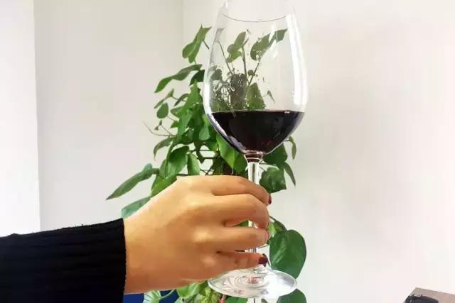 葡萄酒最好喝的做法没酒味,葡萄酒的100种玩法
