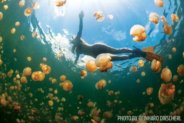 自由潜水怎么玩,潜水20个基本技巧