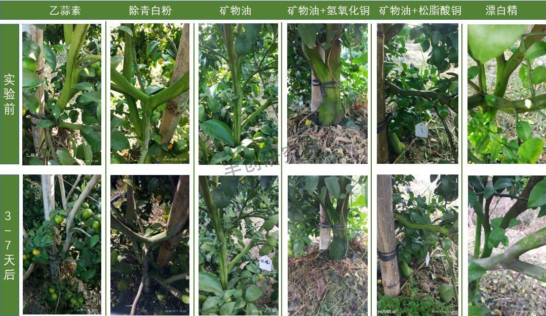 青苔的最佳治理方法是什么,青苔补救