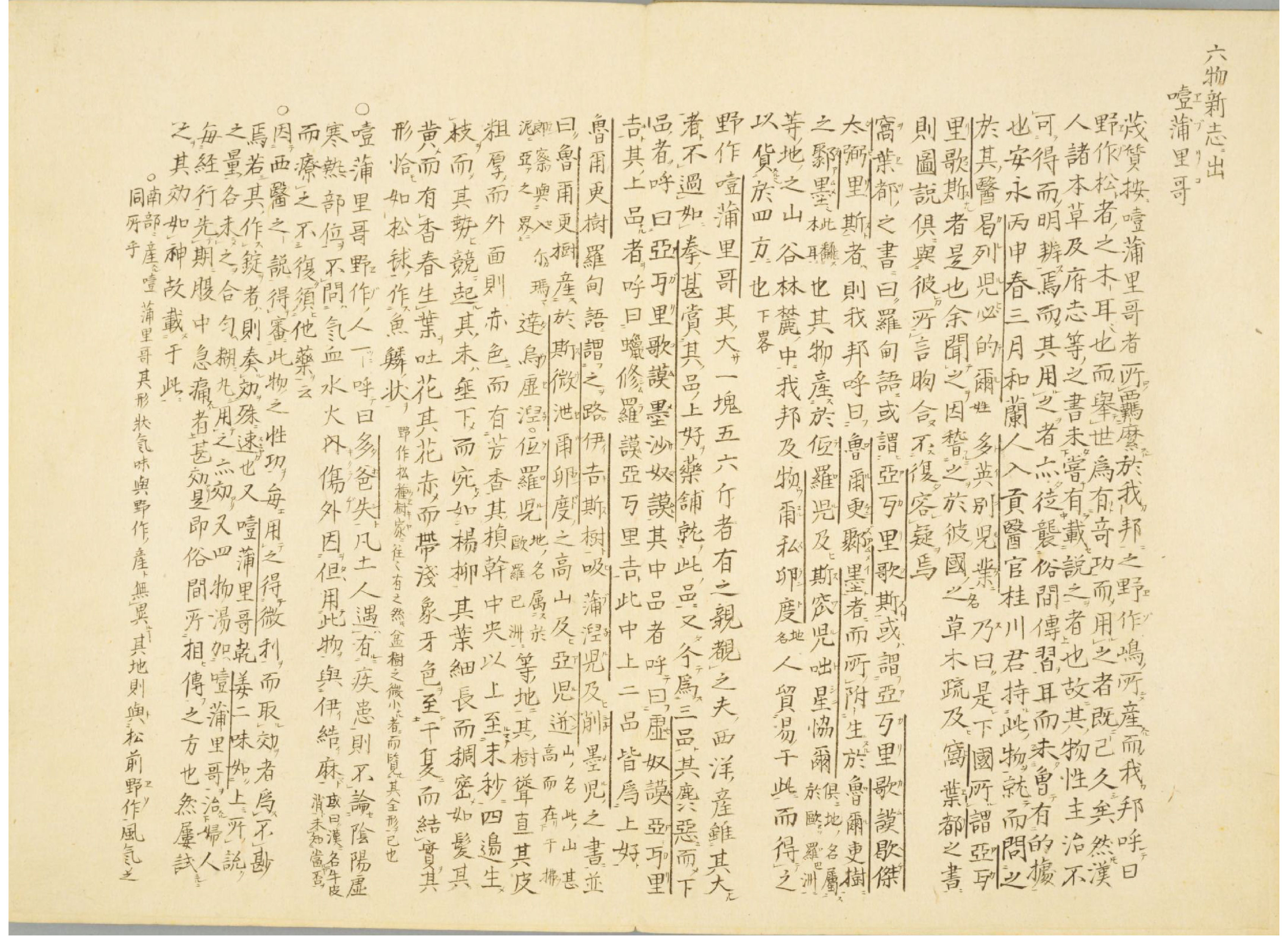 各种多彩菌图片大全,意式野菌图片大全