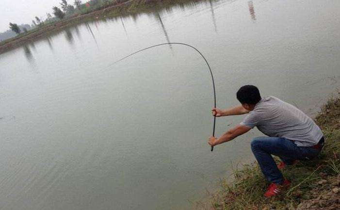 让钓鱼人抓狂和崩溃的事:鱼线打结和上树，教你三招轻松化解!