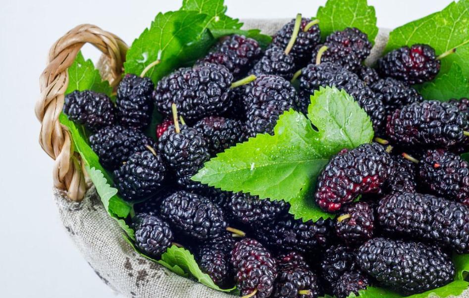 桑葚用水洗了直接泡酒怎么补救,桑葚弄到地上怎么洗掉