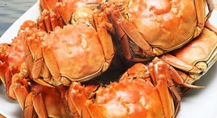 吃了螃蟹过敏有什么可以缓解,确认过眼神都是爱吃橘子的人