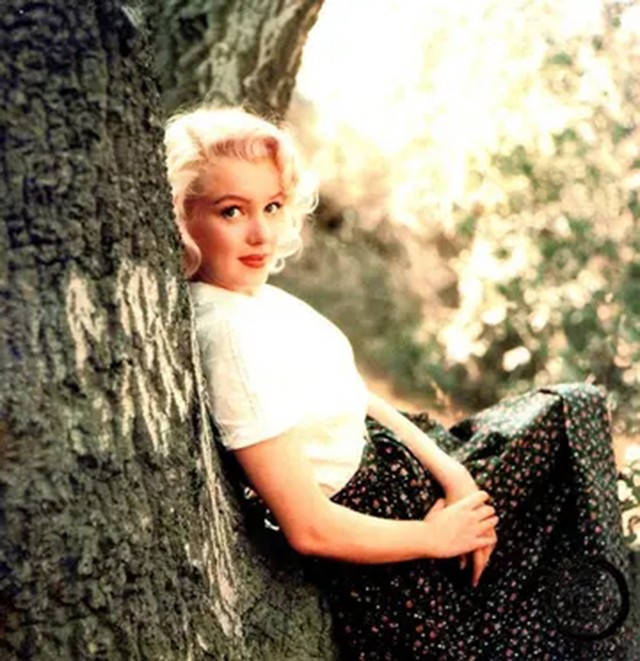 日本医生解剖梦露尸体,声称:心脏和肝脏都没有异常,非常干净