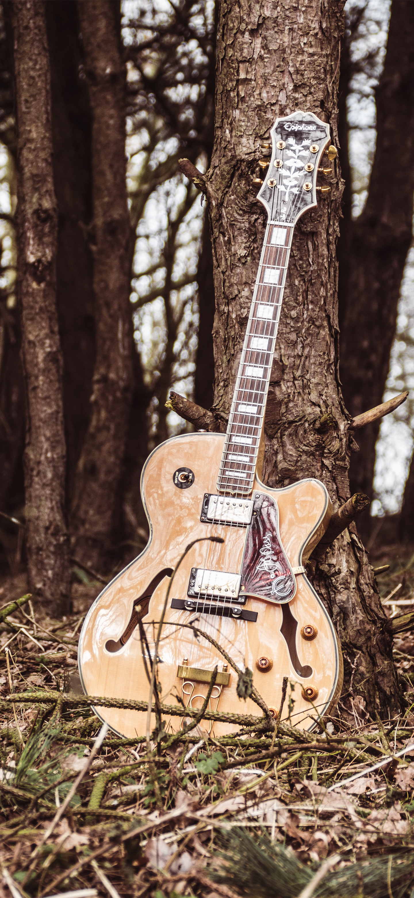 壁纸来了小说,壁纸来了梵高