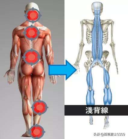 经常头沉重肌肉紧绷,经常头痛头紧绷是什么原因