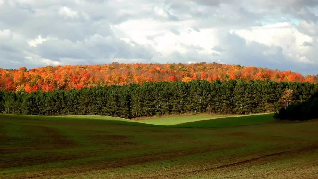 俄罗斯最美风景壁纸,俄罗斯田园风景图片壁纸
