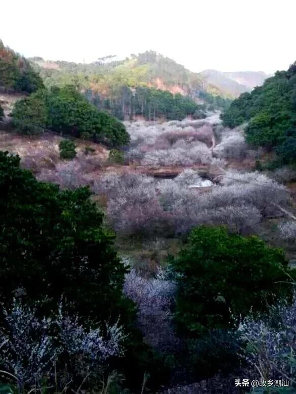 潮汕海山风情图片,饶平海山风情