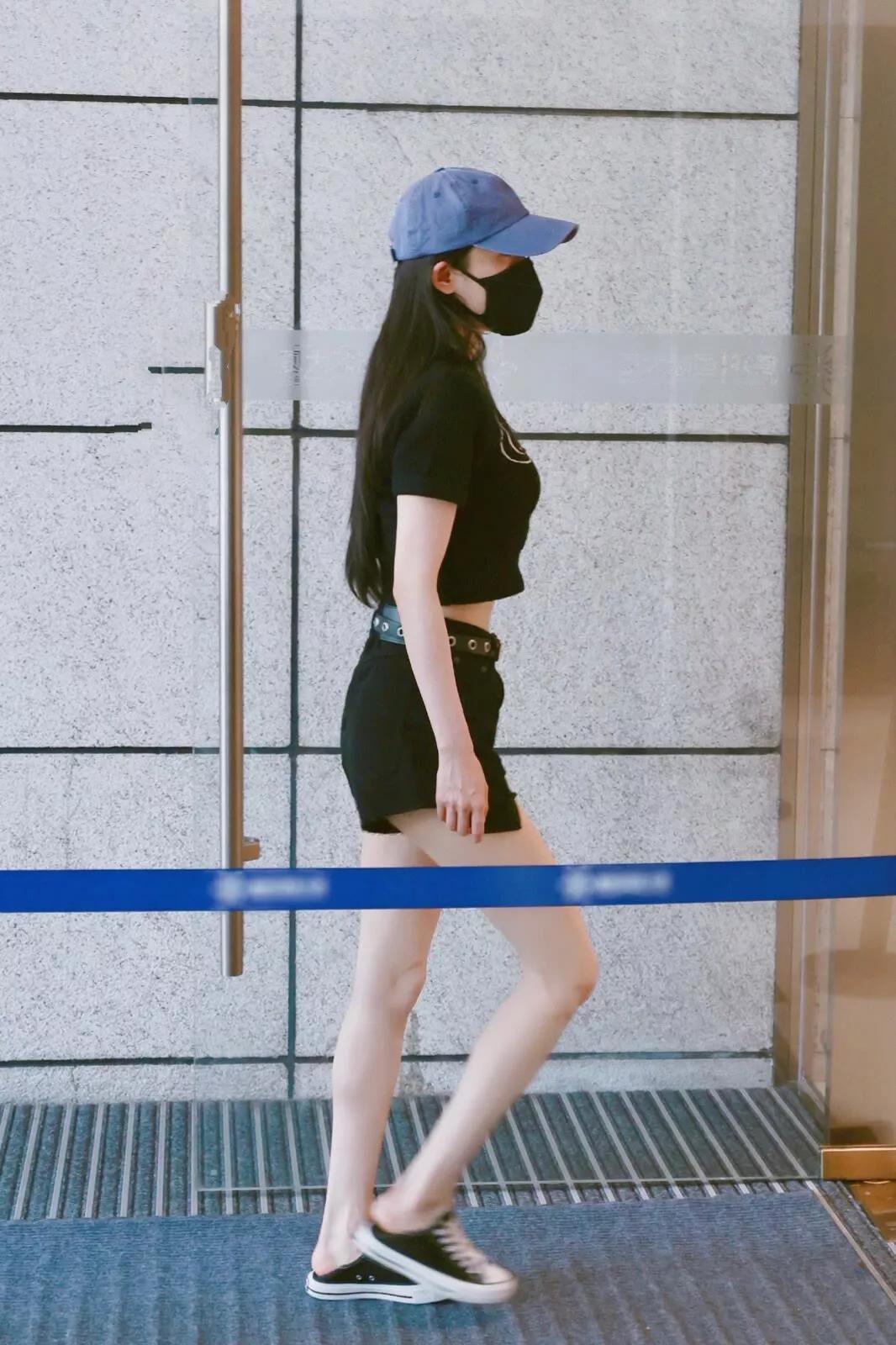 手机壁纸超清全面屏可爱猫,手机壁纸超清全屏2023最好看