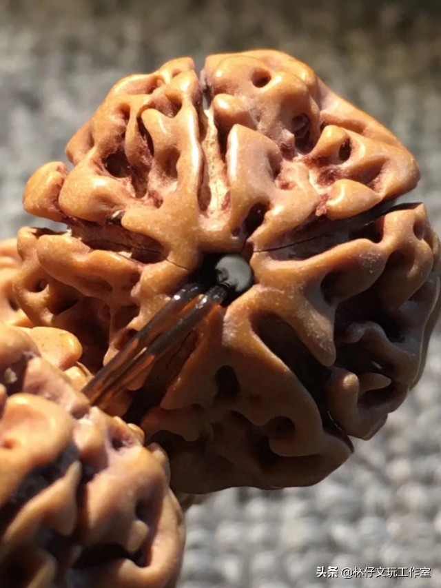 金刚手串玩了五年脏了怎么样清理,如何快速清理金刚菩提上的果肉