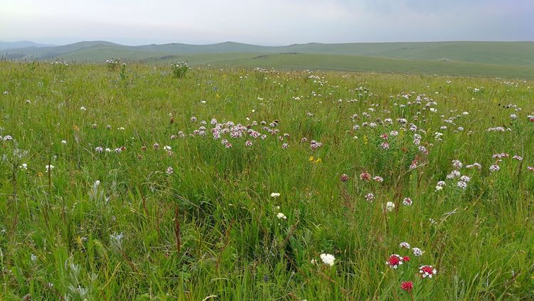 四子王旗——故乡的云，真的好美