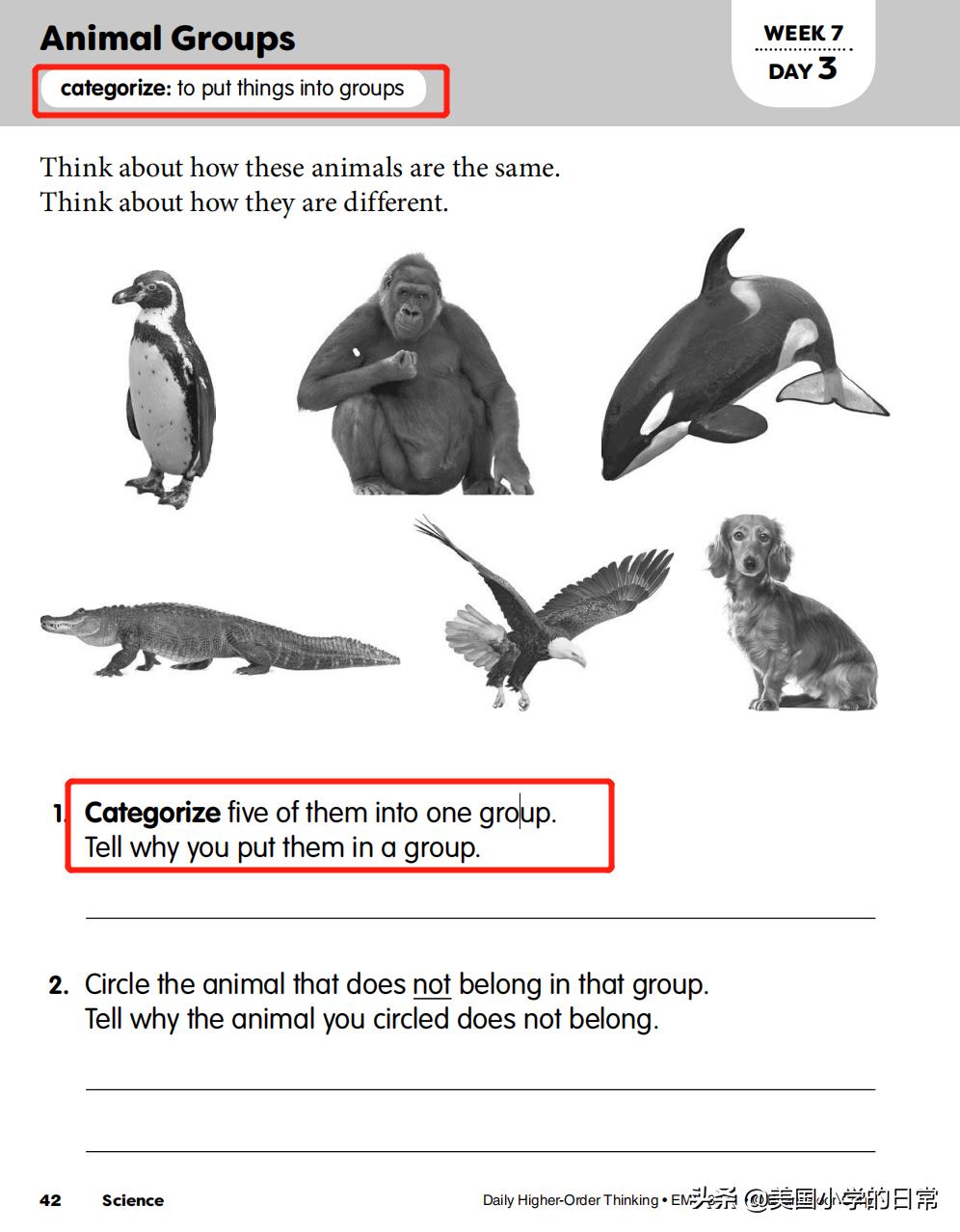 价值1000多块的练习册，竟然免费啦！暑期燃爆孩子的思维训练