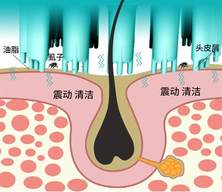 比单身更可怕的是啥,比单身更可怕的