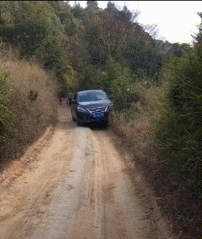 老婆牙疼的特效药,老婆牙疼痛的特效药