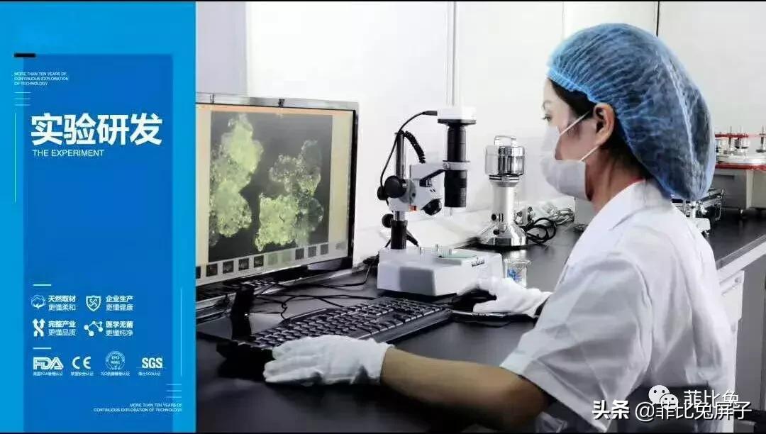 菲比纸尿裤有日本原料吗,菲比兔纸尿裤厂家拿货多少钱