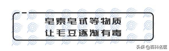 毛豆，这一不留神就让你入院的爱豆，了解一下