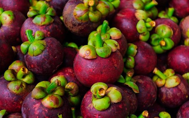 怎么挑选多肉山竹果实,山竹怎么选肉多无籽的