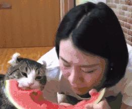 铲屎官想偷吃点零食也太难了吧,铲屎官日常被撒狗粮