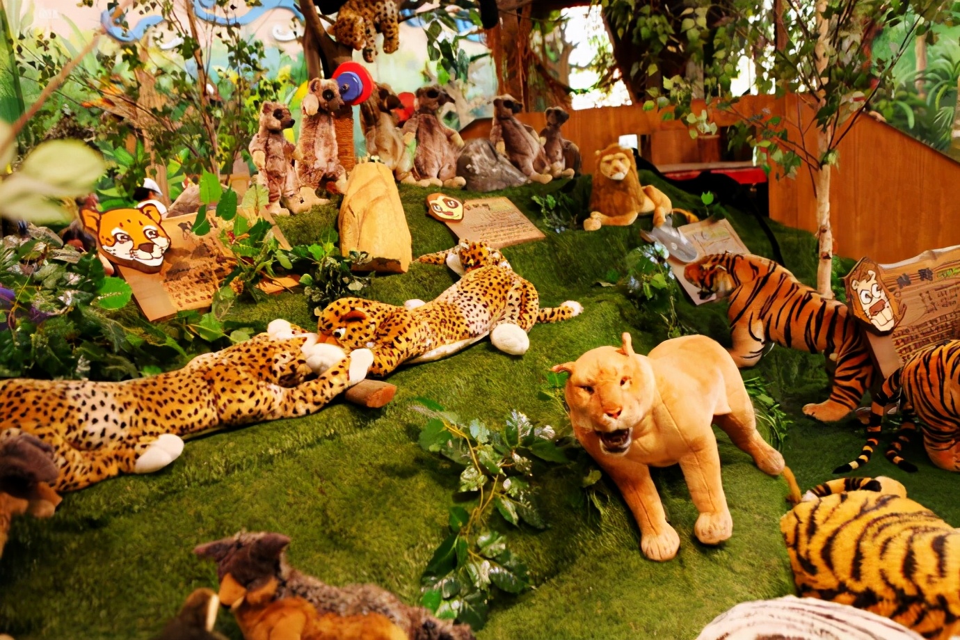 济州岛泰迪熊博物馆,济州岛泰迪熊博物馆圣诞节