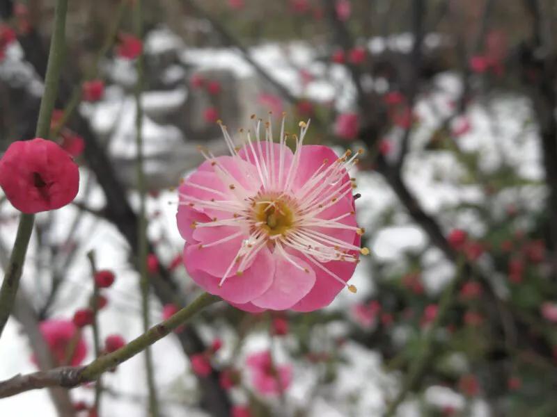 手拍世界摄影网,手拍世界微信公众号