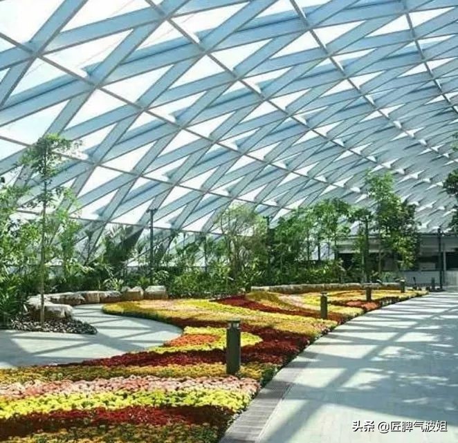 新加坡开盾构,新加坡大动作