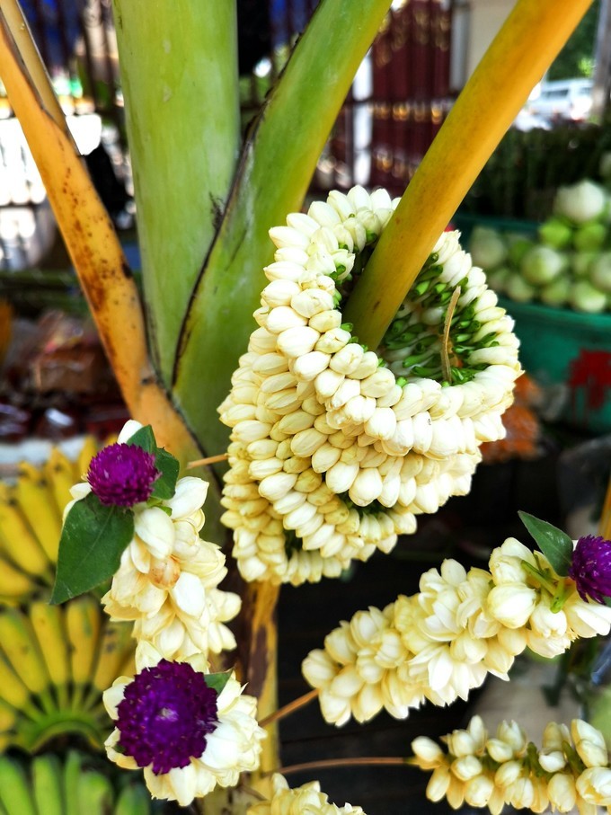 柬埔寨暹粒市旅游攻略,旅游柬埔寨必读完整攻略指南