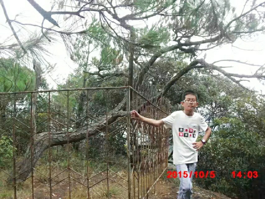 鬼斧神工崖柏,鬼斧神工刺青工作室