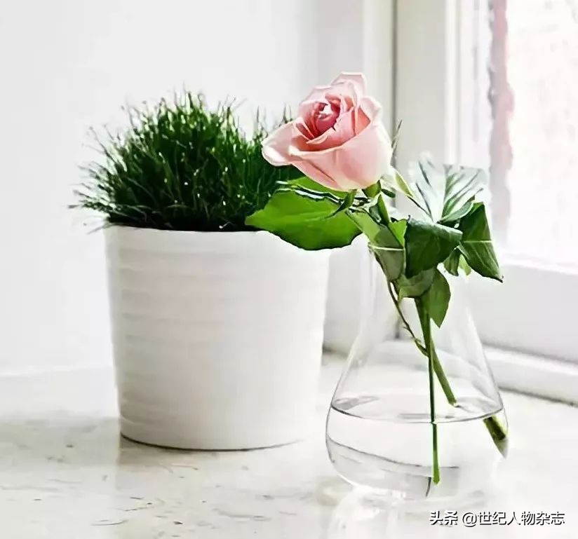 职场沟通重要的精辟句子,沟通精辟句子正能量