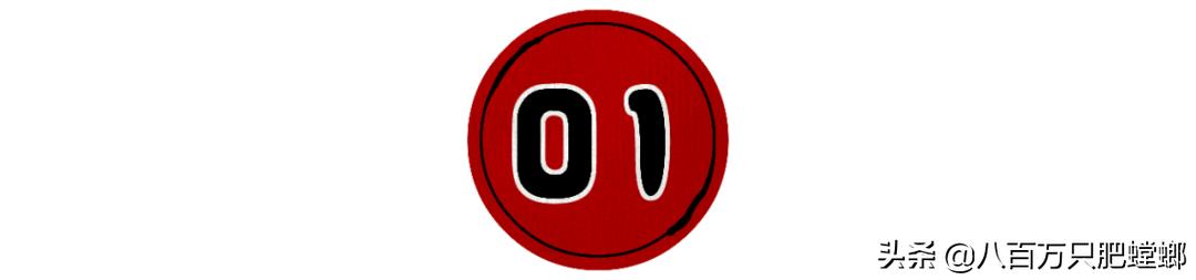 章鱼火锅日式,会动的章鱼海鲜火锅