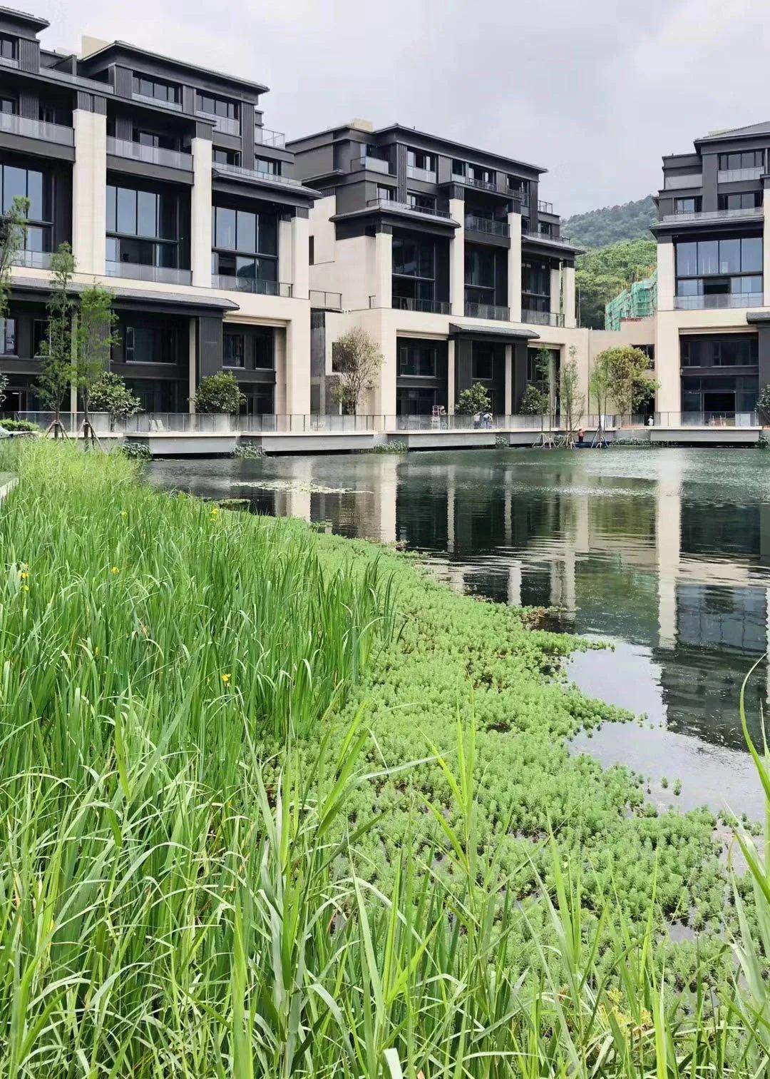 广州珠光云山壹号2000方独栋别墅,珠光云山壹号平层