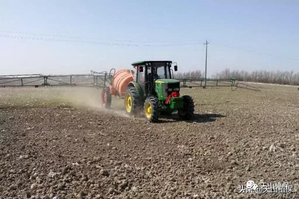 棉花除草剂常见药害的预防及解救,二甲双氟除草剂棉花药害怎么解除