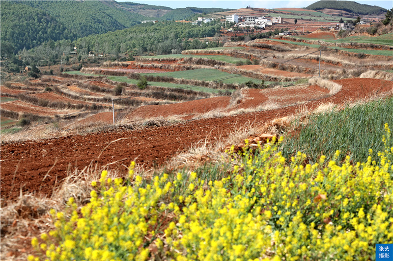 云南红土地共有几个景点,最美云南之东川红土地