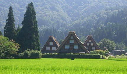 名古屋中部机场购物攻略,名古屋新特利亚机场