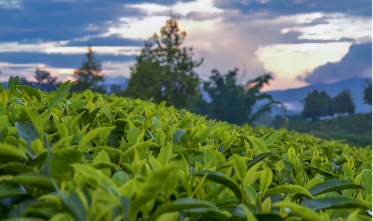 溧阳市枫香小筑民宿,溧阳天目湖最好的民宿