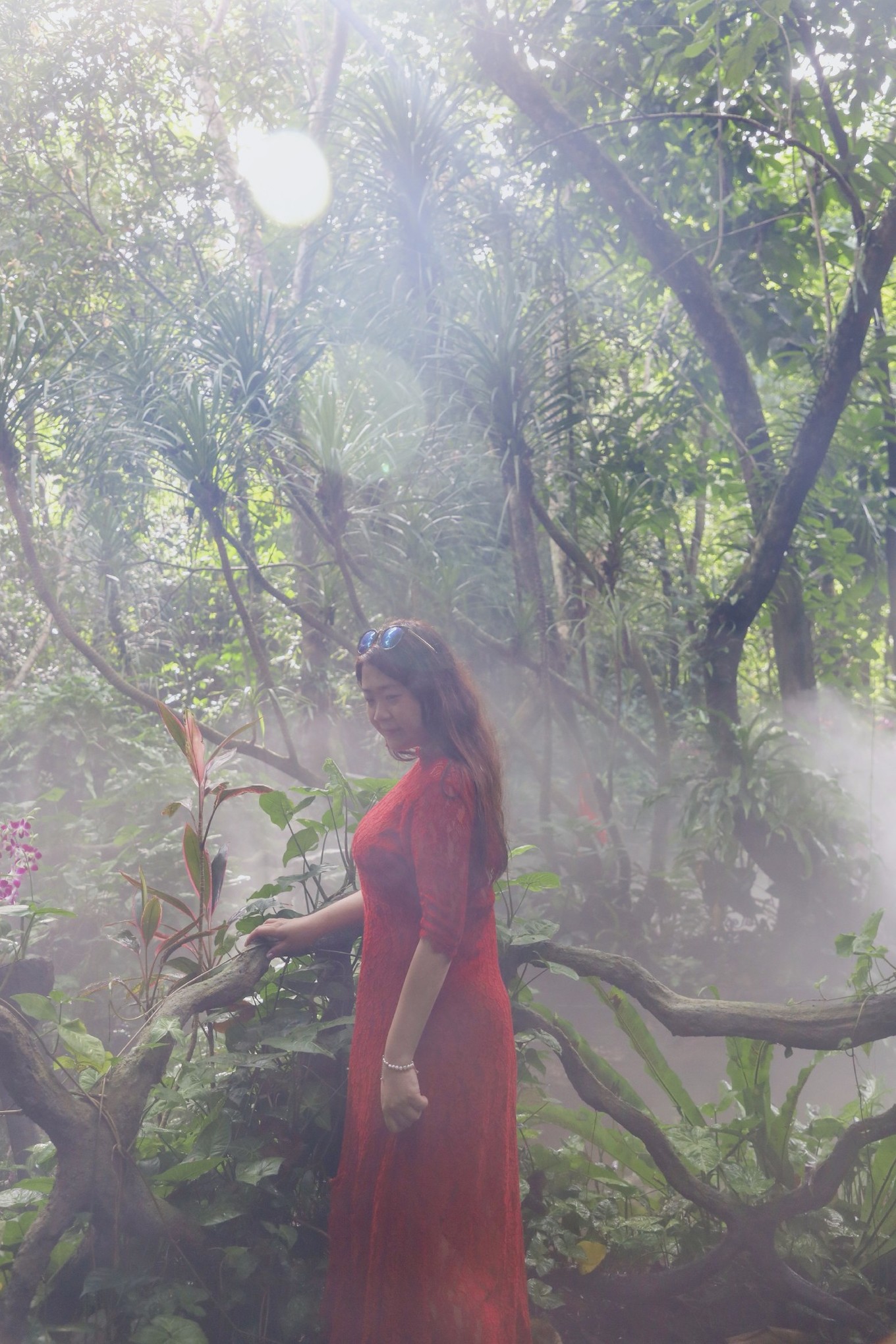 呀诺达雨林探险是什么,三亚呀诺达雨林正规吗