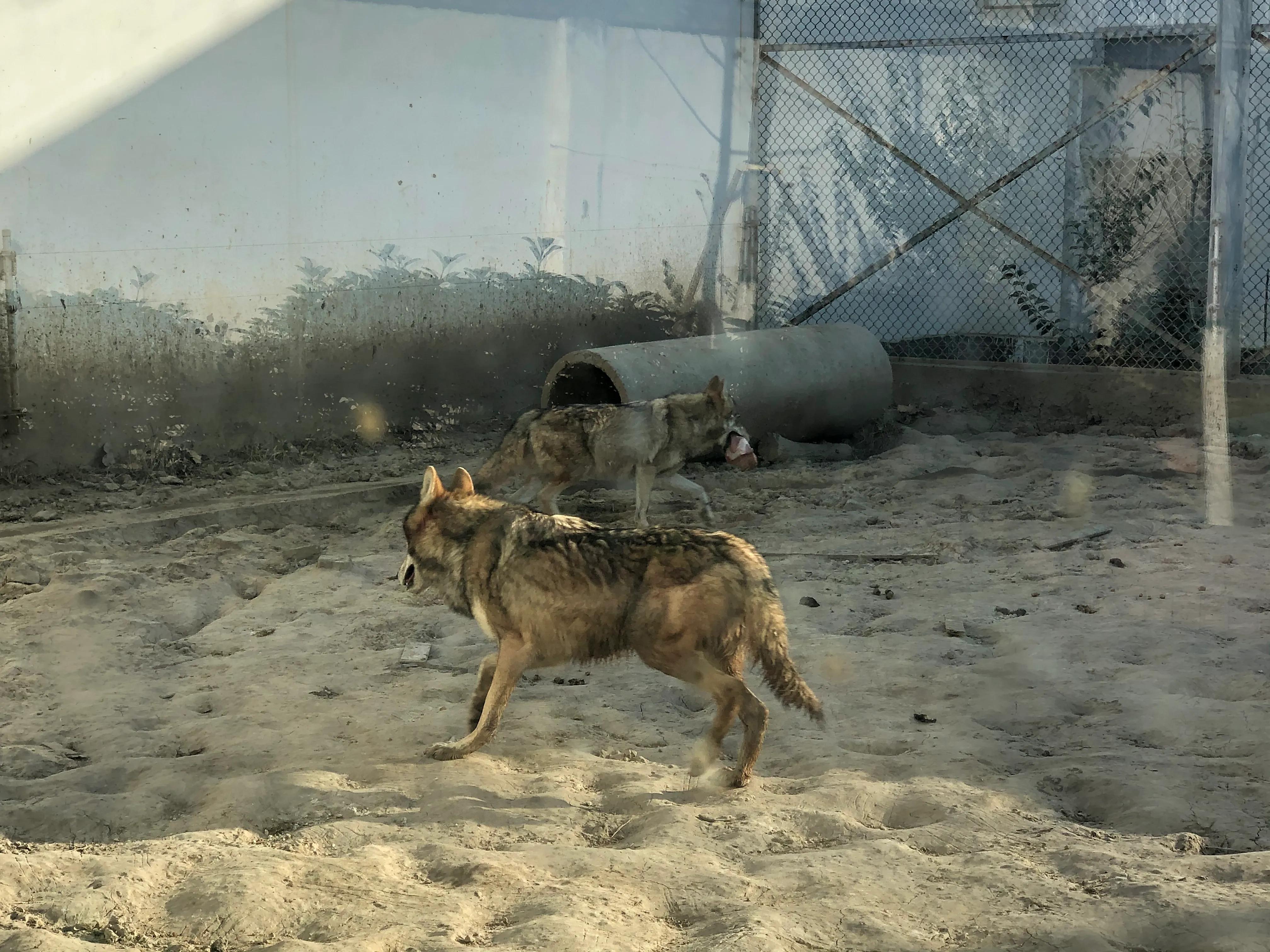 平顶山河滨公园旅游攻略,平顶山森林公园游记